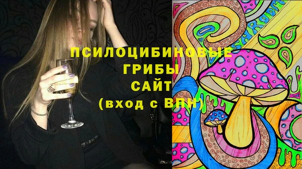 шишки Волосово